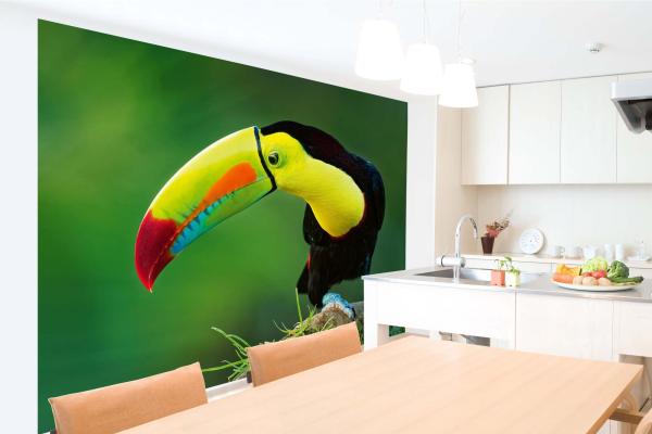 „Tiermotiv-Fototapete MS-5-0409 als Blickfang im Wohnzimmer – lebendige Farben und räumliche Tiefe“