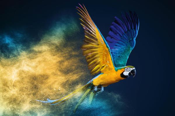 „Vlies-Fototapete MS-5-0410 mit Tiermotiv – flache Draufsicht auf das XXL-Design in 375×250 cm“