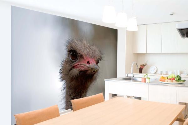 „Tiermotiv-Fototapete MS-5-0411 als Blickfang im Wohnzimmer – lebendige Farben und räumliche Tiefe“
