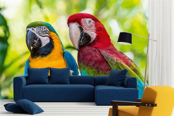 „Tiermotiv-Fototapete MS-5-0412 als Blickfang im Wohnzimmer – lebendige Farben und räumliche Tiefe“