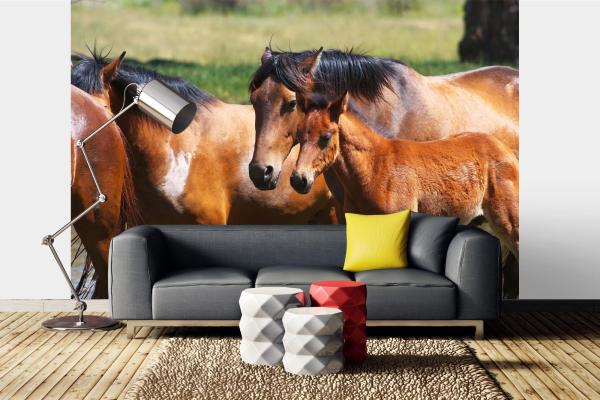 „Tiermotiv-Fototapete MS-5-0422 als Blickfang im Wohnzimmer – lebendige Farben und räumliche Tiefe“