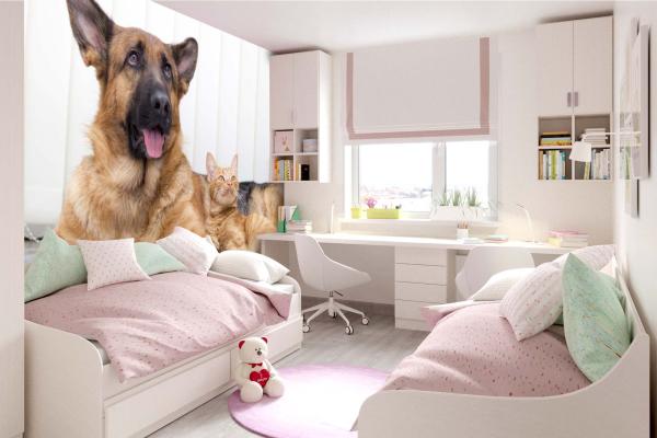 „Tiermotiv-Fototapete MS-5-0425 als Blickfang im Wohnzimmer – lebendige Farben und räumliche Tiefe“