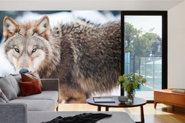 „Tiermotiv-Fototapete MS-5-0427 als Blickfang im Wohnzimmer – lebendige Farben und räumliche Tiefe“