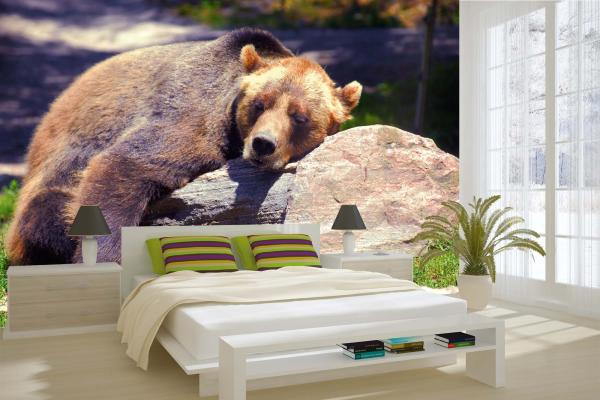„Tiermotiv-Fototapete MS-5-0434 als Blickfang im Wohnzimmer – lebendige Farben und räumliche Tiefe“