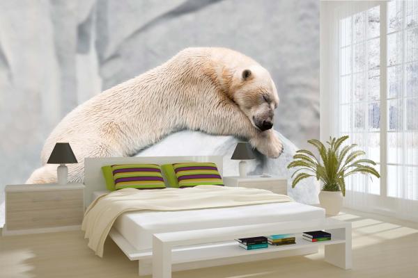 „Tiermotiv-Fototapete MS-5-0437 als Blickfang im Wohnzimmer – lebendige Farben und räumliche Tiefe“