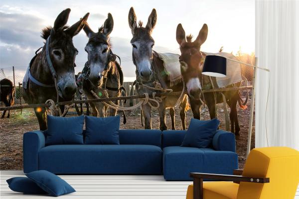 „Tiermotiv-Fototapete MS-5-0444 als Blickfang im Wohnzimmer – lebendige Farben und räumliche Tiefe“