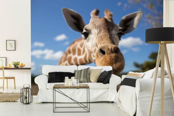 „Tiermotiv-Fototapete MS-5-0445 als Blickfang im Wohnzimmer – lebendige Farben und räumliche Tiefe“