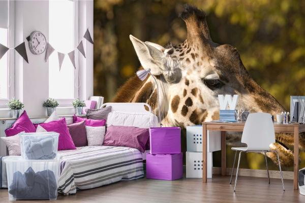 „Tiermotiv-Fototapete MS-5-0450 als Blickfang im Wohnzimmer – lebendige Farben und räumliche Tiefe“