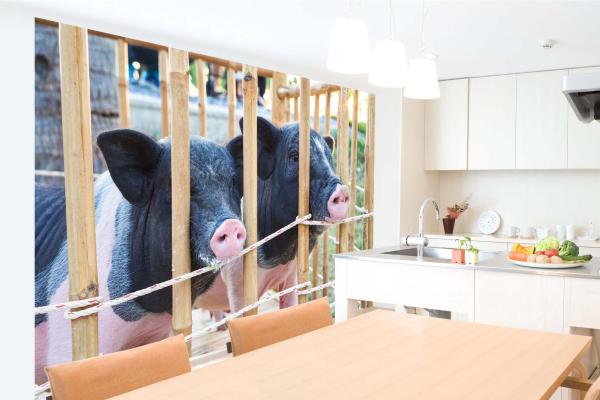 „Tiermotiv-Fototapete MS-5-0453 als Blickfang im Wohnzimmer – lebendige Farben und räumliche Tiefe“