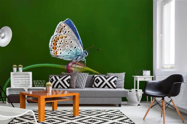 „Tiermotiv-Fototapete MS-5-0466 als Blickfang im Wohnzimmer – lebendige Farben und räumliche Tiefe“
