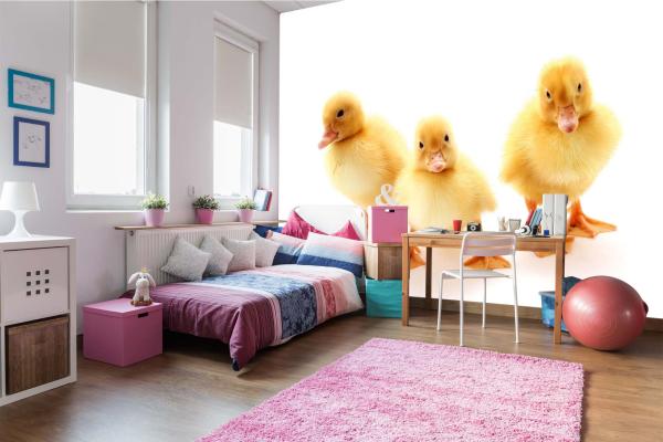 „Tiermotiv-Fototapete MS-5-0471 als Blickfang im Wohnzimmer – lebendige Farben und räumliche Tiefe“