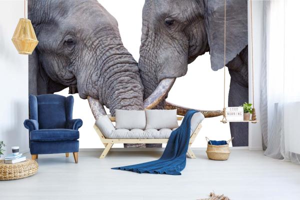 „Tiermotiv-Fototapete MS-5-0481 als Blickfang im Wohnzimmer – lebendige Farben und räumliche Tiefe“