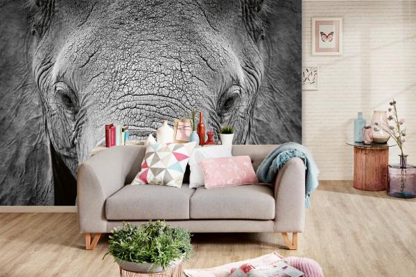 „Tiermotiv-Fototapete MS-5-0484 als Blickfang im Wohnzimmer – lebendige Farben und räumliche Tiefe“