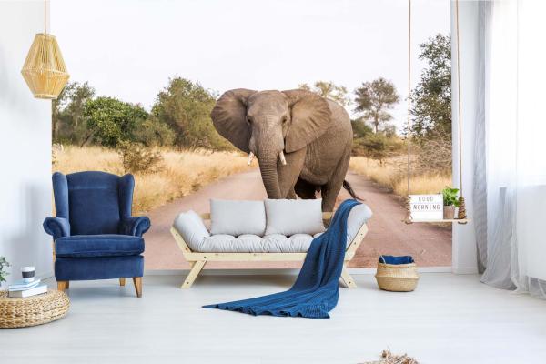„Tiermotiv-Fototapete MS-5-0488 als Blickfang im Wohnzimmer – lebendige Farben und räumliche Tiefe“