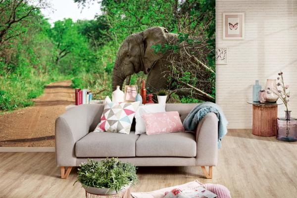 „Tiermotiv-Fototapete MS-5-0496 als Blickfang im Wohnzimmer – lebendige Farben und räumliche Tiefe“