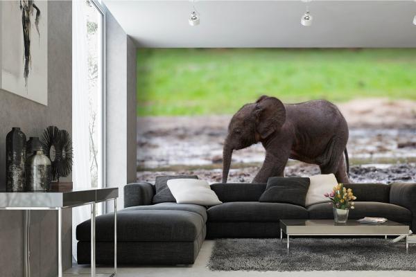 „Tiermotiv-Fototapete MS-5-0498 als Blickfang im Wohnzimmer – lebendige Farben und räumliche Tiefe“