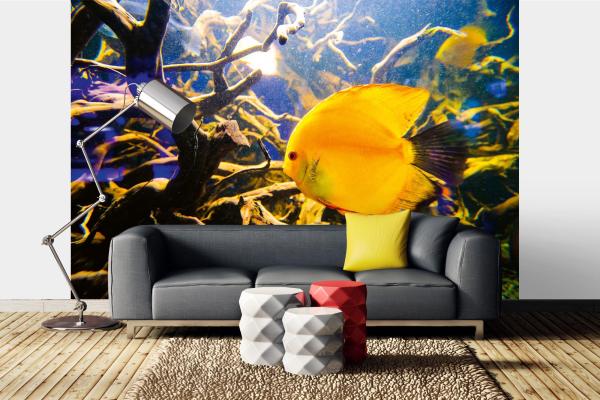 „Tiermotiv-Fototapete MS-5-0514 als Blickfang im Wohnzimmer – lebendige Farben und räumliche Tiefe“