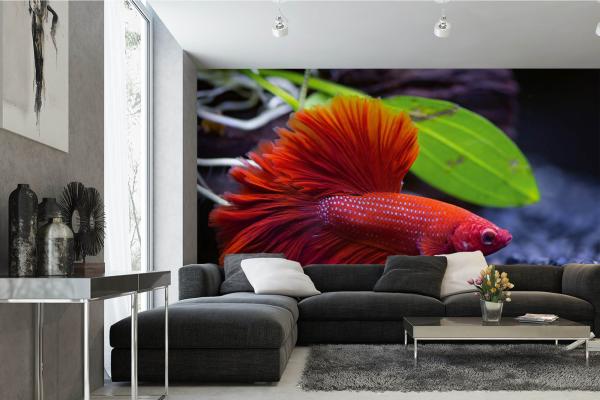 „Tiermotiv-Fototapete MS-5-0520 als Blickfang im Wohnzimmer – lebendige Farben und räumliche Tiefe“