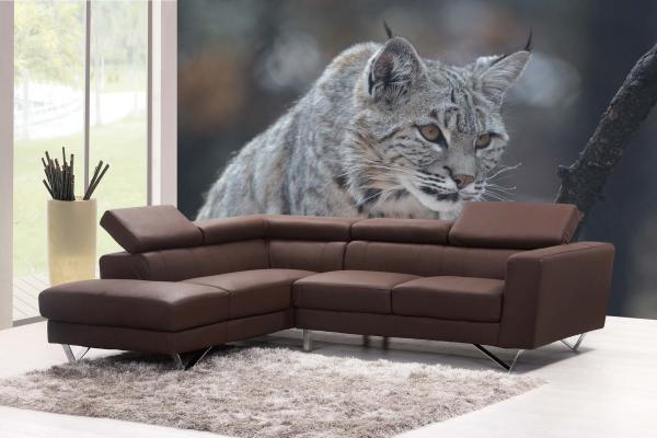 „Tiermotiv-Fototapete MS-5-0548 als Blickfang im Wohnzimmer – lebendige Farben und räumliche Tiefe“