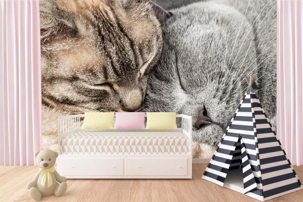 „Tiermotiv-Fototapete MS-5-0555 als Blickfang im Wohnzimmer – lebendige Farben und räumliche Tiefe“