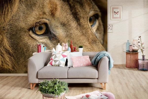 „Tiermotiv-Fototapete MS-5-0558 als Blickfang im Wohnzimmer – lebendige Farben und räumliche Tiefe“