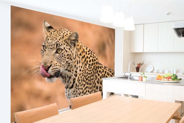 „Tiermotiv-Fototapete MS-5-0561 als Blickfang im Wohnzimmer – lebendige Farben und räumliche Tiefe“