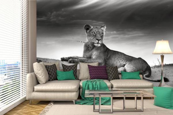 „Tiermotiv-Fototapete MS-5-0564 als Blickfang im Wohnzimmer – lebendige Farben und räumliche Tiefe“