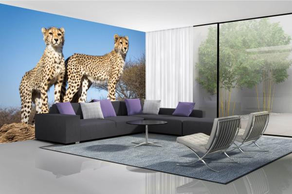 „Tiermotiv-Fototapete MS-5-0572 als Blickfang im Wohnzimmer – lebendige Farben und räumliche Tiefe“