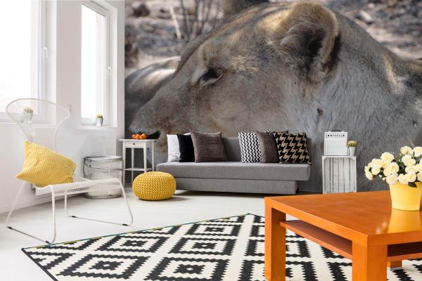 „Tiermotiv-Fototapete MS-5-0582 als Blickfang im Wohnzimmer – lebendige Farben und räumliche Tiefe“