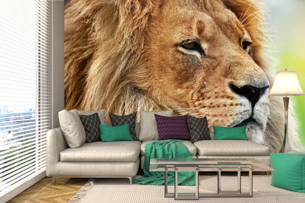 „Tiermotiv-Fototapete MS-5-0588 als Blickfang im Wohnzimmer – lebendige Farben und räumliche Tiefe“