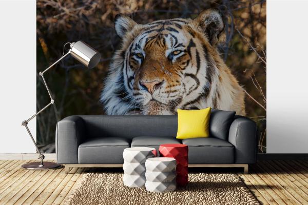 „Tiermotiv-Fototapete MS-5-0597 als Blickfang im Wohnzimmer – lebendige Farben und räumliche Tiefe“