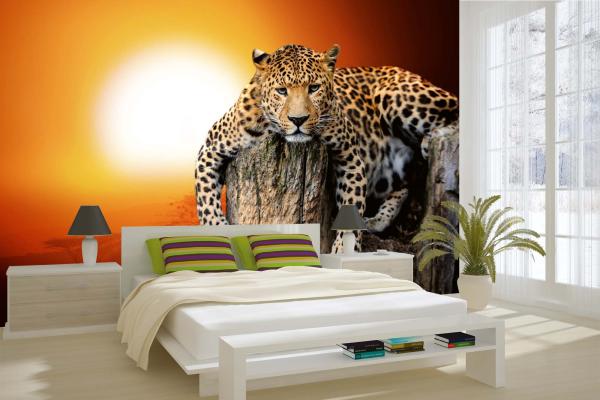 „Tiermotiv-Fototapete MS-5-0599 als Blickfang im Wohnzimmer – lebendige Farben und räumliche Tiefe“