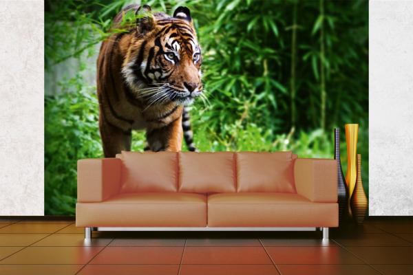 „Tiermotiv-Fototapete MS-5-0601 als Blickfang im Wohnzimmer – lebendige Farben und räumliche Tiefe“