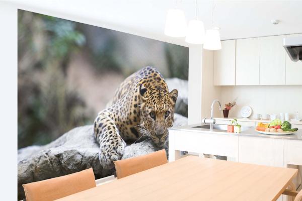 „Tiermotiv-Fototapete MS-5-0606 als Blickfang im Wohnzimmer – lebendige Farben und räumliche Tiefe“