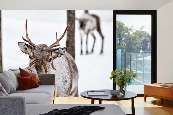 „Tiermotiv-Fototapete MS-5-0617 als Blickfang im Wohnzimmer – lebendige Farben und räumliche Tiefe“