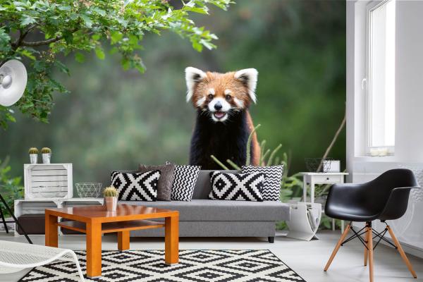 „Tiermotiv-Fototapete MS-5-0624 als Blickfang im Wohnzimmer – lebendige Farben und räumliche Tiefe“
