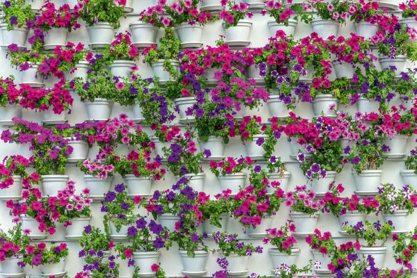 Vlies-Fototapete MS-5-0772 – Draufsicht auf florales Dessin mit warmen Farbtönen, Format 375 × 250 cm, brillante Druckqualität.