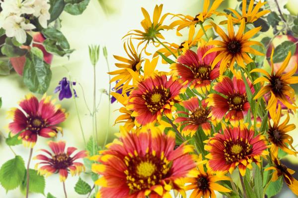 Vlies-Fototapete MS-5-1291 – Draufsicht auf florales Dessin mit warmen Farbtönen, Format 375 × 250 cm, brillante Druckqualität.