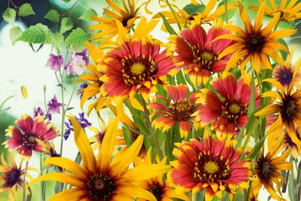 Vlies-Fototapete MS-5-1293 – Draufsicht auf florales Dessin mit warmen Farbtönen, Format 375 × 250 cm, brillante Druckqualität.