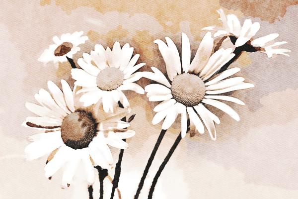 Vlies-Fototapete MS-5-1305 – Draufsicht auf florales Dessin mit warmen Farbtönen, Format 375 × 250 cm, brillante Druckqualität.