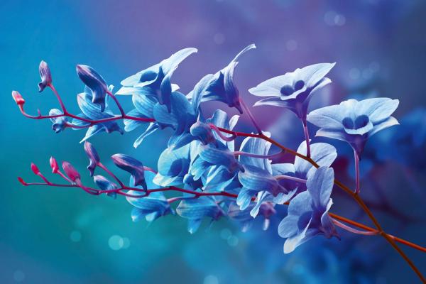 Vlies-Fototapete MS-5-1312 – Draufsicht auf florales Dessin mit warmen Farbtönen, Format 375 × 250 cm, brillante Druckqualität.