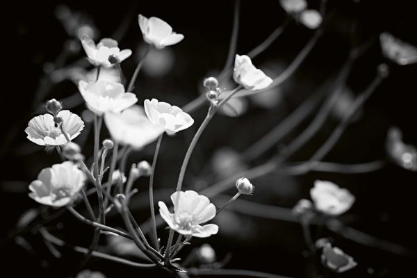 Vlies-Fototapete MS-5-1321 – Draufsicht auf florales Dessin mit warmen Farbtönen, Format 375 × 250 cm, brillante Druckqualität.