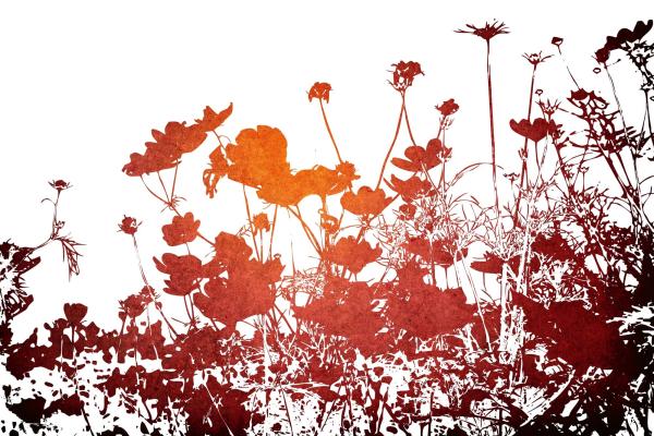 Vlies-Fototapete MS-5-1326 – Draufsicht auf florales Dessin mit warmen Farbtönen, Format 375 × 250 cm, brillante Druckqualität.