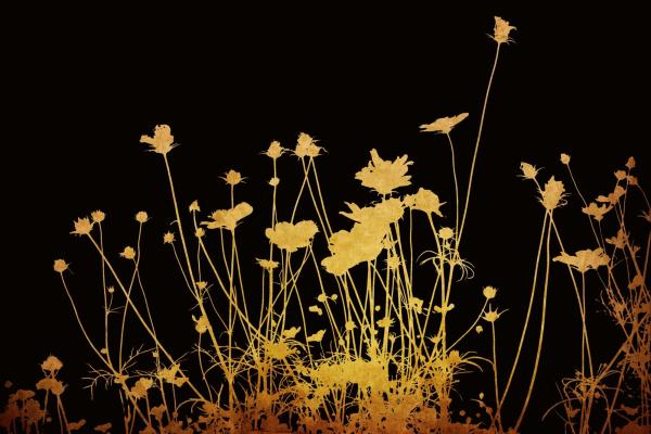 Vlies-Fototapete MS-5-1327 – Draufsicht auf florales Dessin mit warmen Farbtönen, Format 375 × 250 cm, brillante Druckqualität.