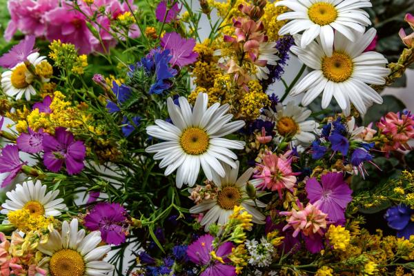 Vlies-Fototapete MS-5-1329 – Draufsicht auf florales Dessin mit warmen Farbtönen, Format 375 × 250 cm, brillante Druckqualität.