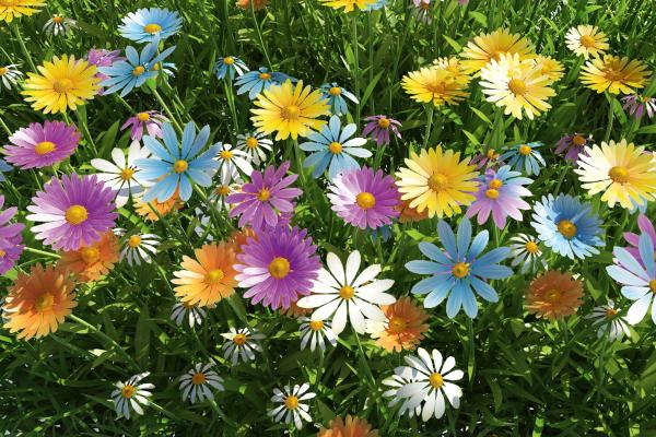 Vlies-Fototapete MS-5-1332 – Draufsicht auf florales Dessin mit warmen Farbtönen, Format 375 × 250 cm, brillante Druckqualität.