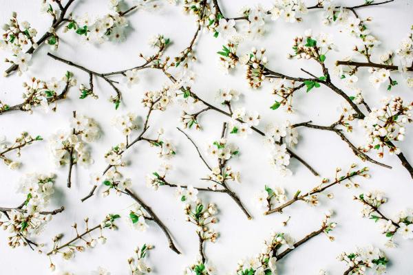 Vlies-Fototapete MS-5-1351 – Draufsicht auf florales Dessin mit warmen Farbtönen, Format 375 × 250 cm, brillante Druckqualität.