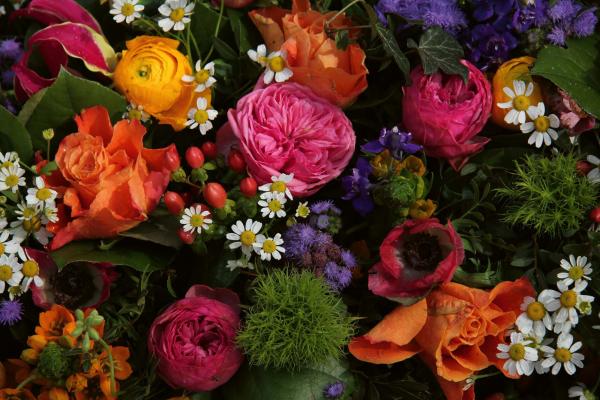 Vlies-Fototapete MS-5-1357 – Draufsicht auf florales Dessin mit warmen Farbtönen, Format 375 × 250 cm, brillante Druckqualität.