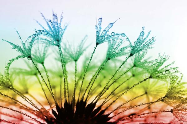 Vlies-Fototapete MS-5-1358 – Draufsicht auf florales Dessin mit warmen Farbtönen, Format 375 × 250 cm, brillante Druckqualität.
