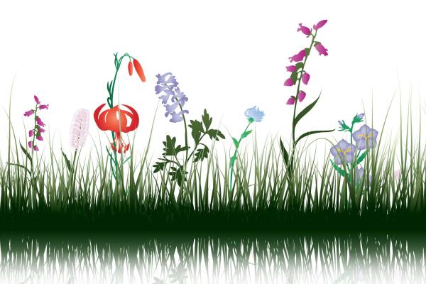 Kinder-Fototapete MS-5-1459 – Draufsicht auf das farbenfrohe Motiv mit kindgerechten Formen und brillanten Farben